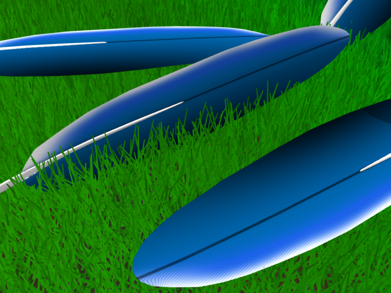 Feathers on the Grass