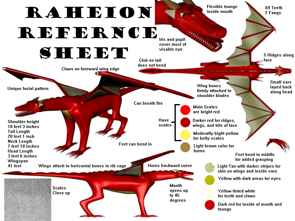 Raheion Refernce Sheet